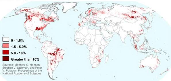 В США леса исчезают быстрее, чем в любой другой стране мира