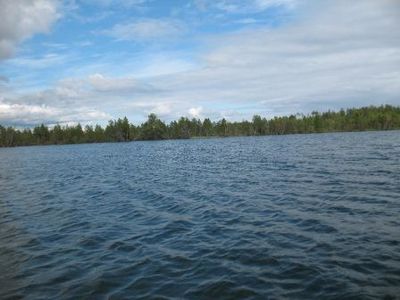 Грюновское озеро – место для рыбака